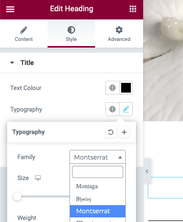 Select Style tab then Typography